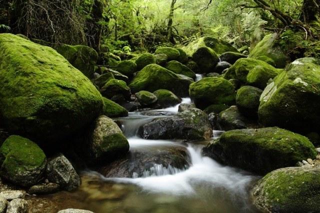 吉卜力电影,宫崎骏,动画风景