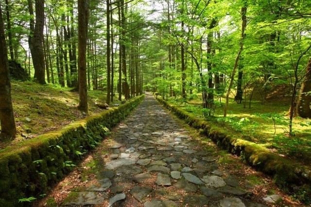 吉卜力电影,宫崎骏,动画风景