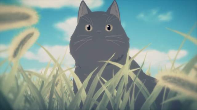 新海诚《她和她的猫》TV版PV公布