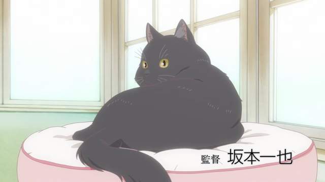 她和她的猫,她和她的猫TV版,她和她的猫动画