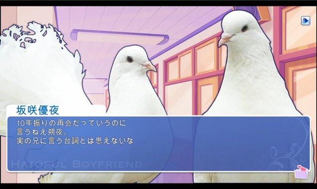 谈个鸟恋爱！《Hatoful Boyfriend》出日版