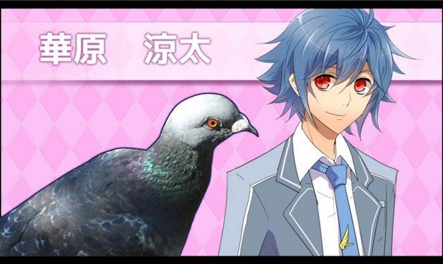 谈个鸟恋爱！《Hatoful Boyfriend》出日版