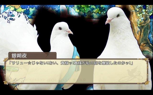 谈个鸟恋爱！《Hatoful Boyfriend》出日版