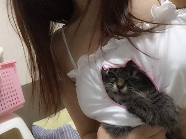 胸满泗溢！猫剪影开胸内衣又有新玩法