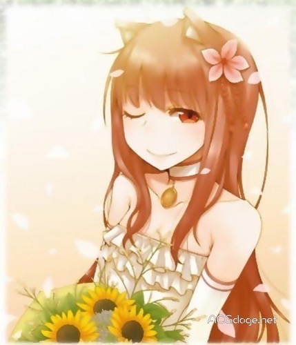 《狼与香辛料》续作 新作小说《狼与羊皮纸》