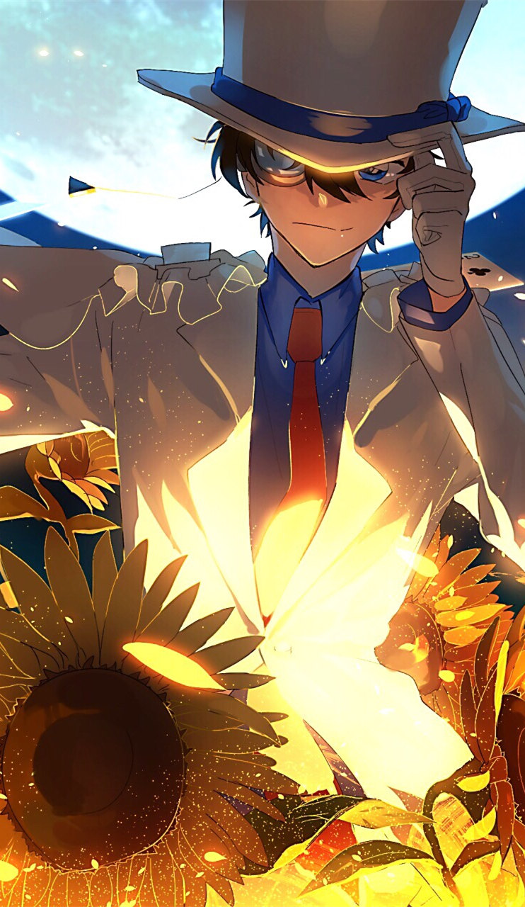 月光下的纯白身影 怪盗基德 安卓手机主题下载