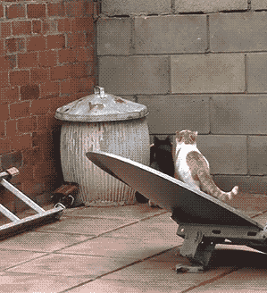 搞笑,GIF,段子