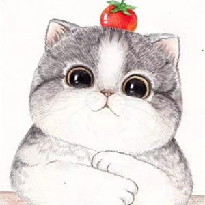 请带走我吧!萌宠猫咪头像