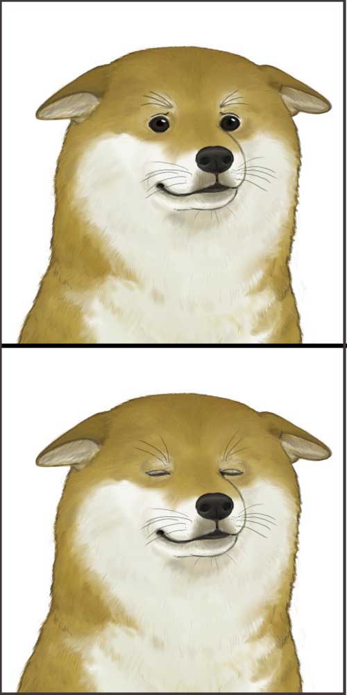 柴犬,汪星人,狗子,