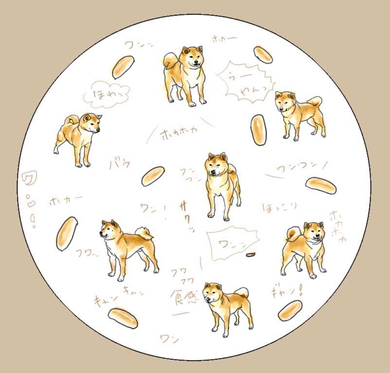 柴犬,汪星人,狗子,