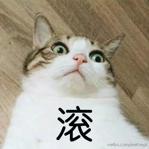 超级可的猫咪表情下载拆完了吗图表情包图片