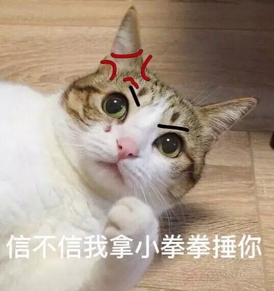 超级可的猫咪表情包下载