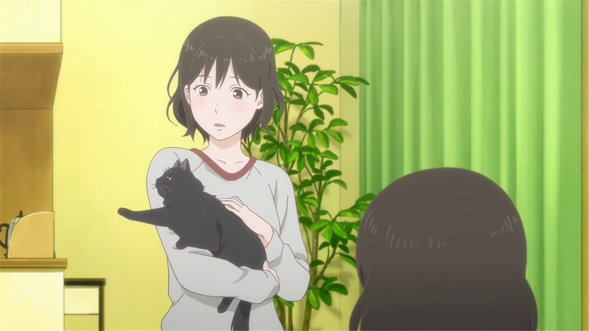 新海诚 她和她的猫唯美人物剧照 动漫电脑壁纸