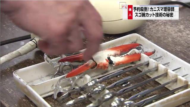 放开蟹老板的手！岛国理发师用蟹钳理发