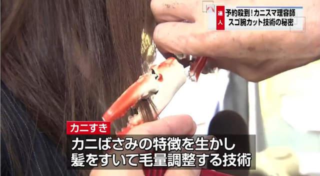 放开蟹老板的手！岛国理发师用蟹钳理发
