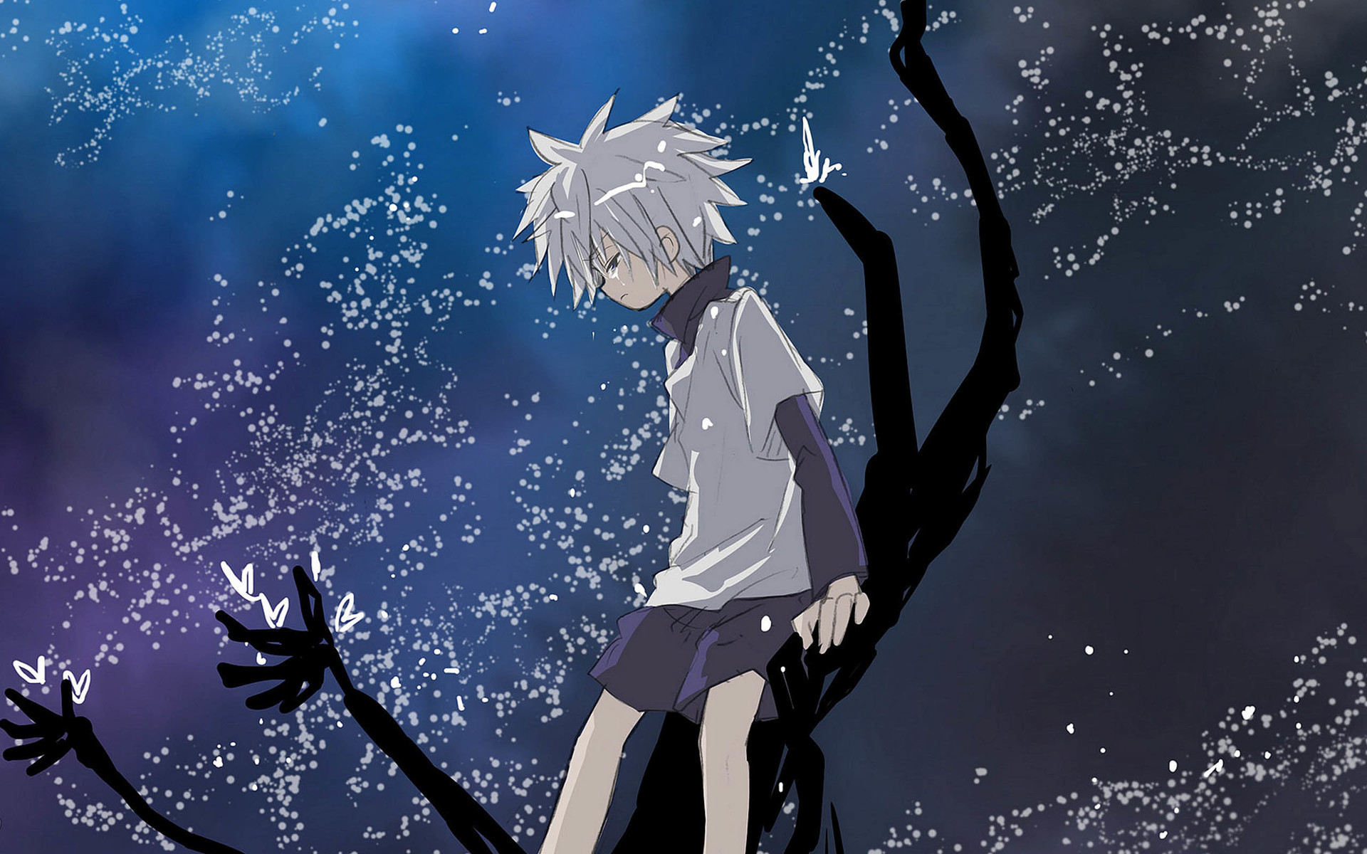 《全职猎人》系类图集 高清电脑壁纸下载(2)