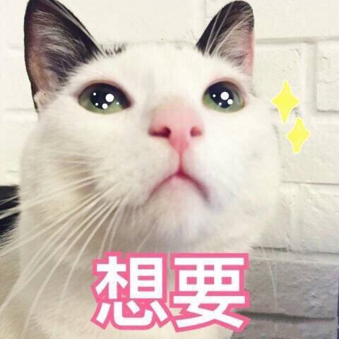 超可爱表情系列大全撒个娇萌死你猫咪动态蟑螂图片表情图片