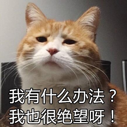 我能怎么样 我也很绝望表情包下载(第二弹)