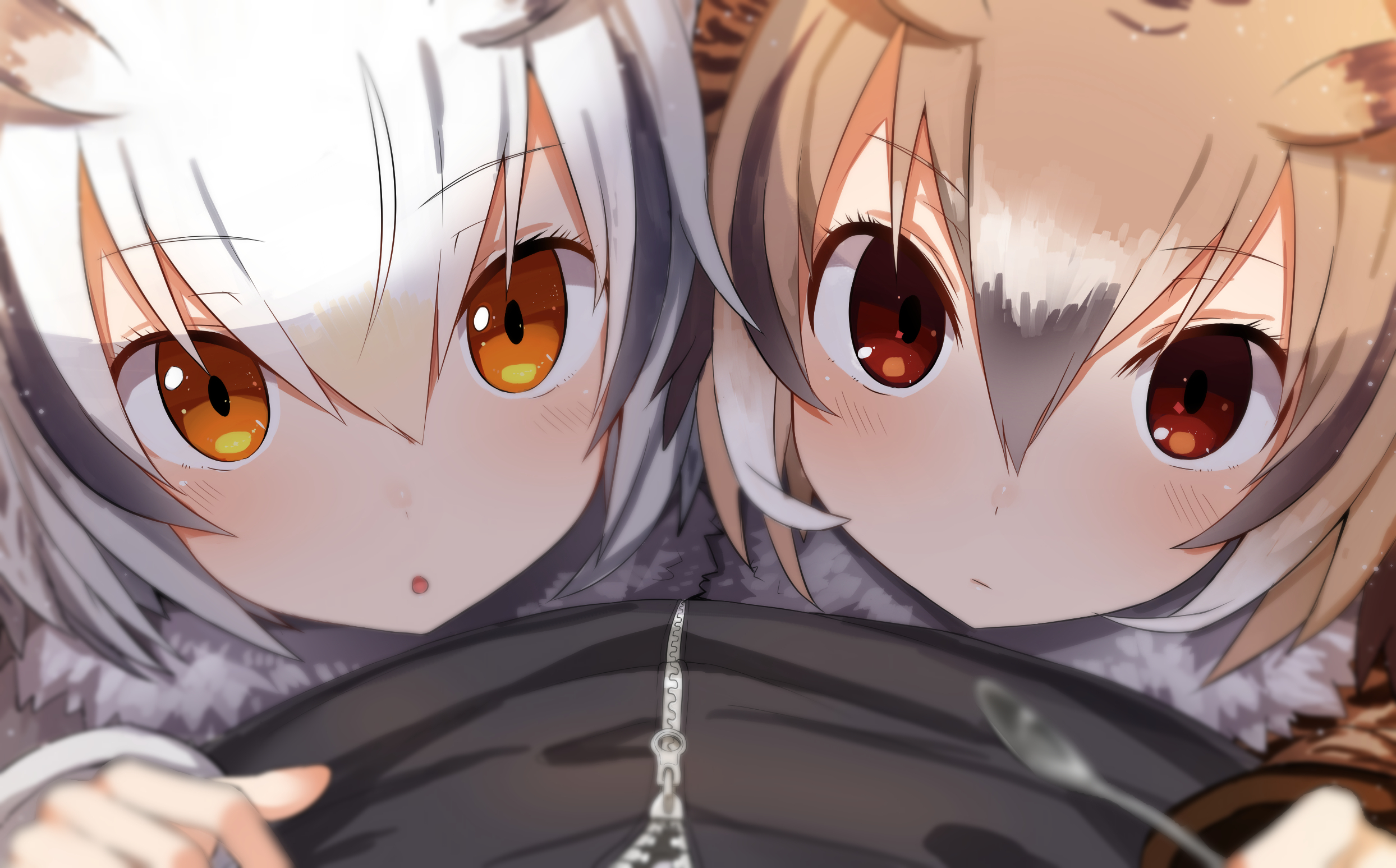 《兽娘动物园》TMA真人化. 主演:土狼(天蓝怪