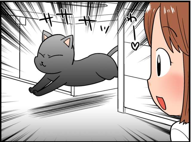 猫奴,所有让你抓狂的对象都变成猫,萌猫