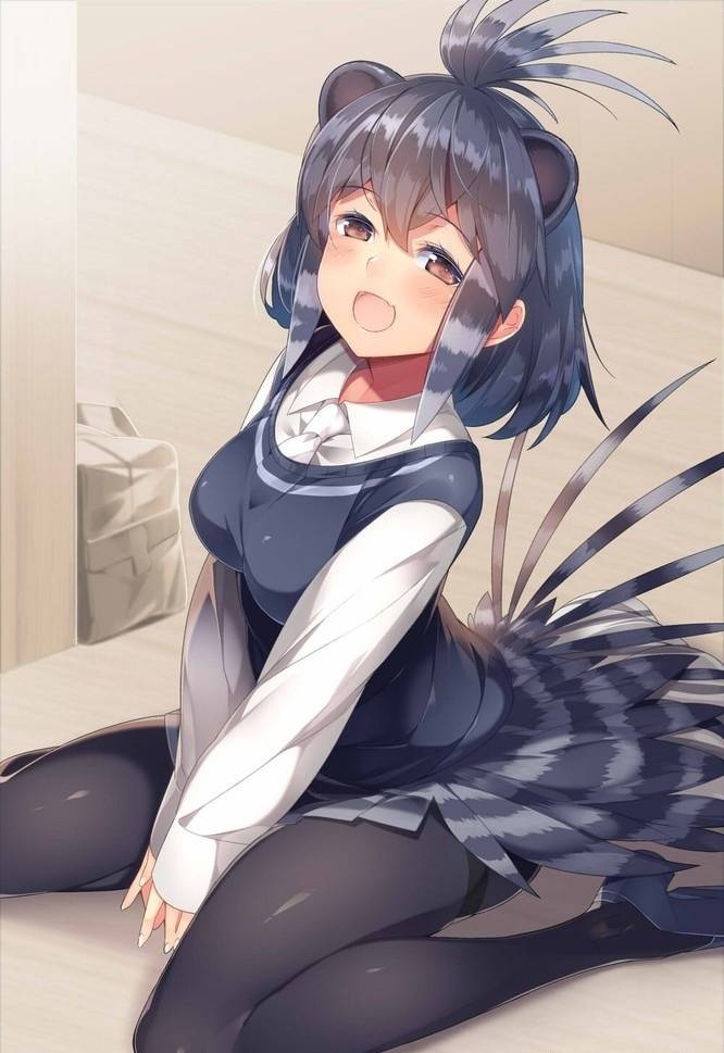 《兽娘动物园》公式书首卷大卖2.2万卷 一月新番最大赢家