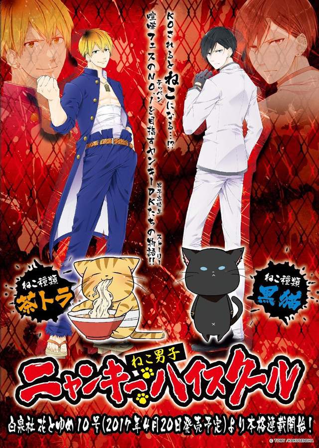 猫男子不良喵高校,白泉社漫画杂志,美少男变猫