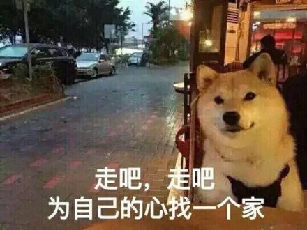 单身狗御用表情包_动漫新闻_动漫论坛_动漫美