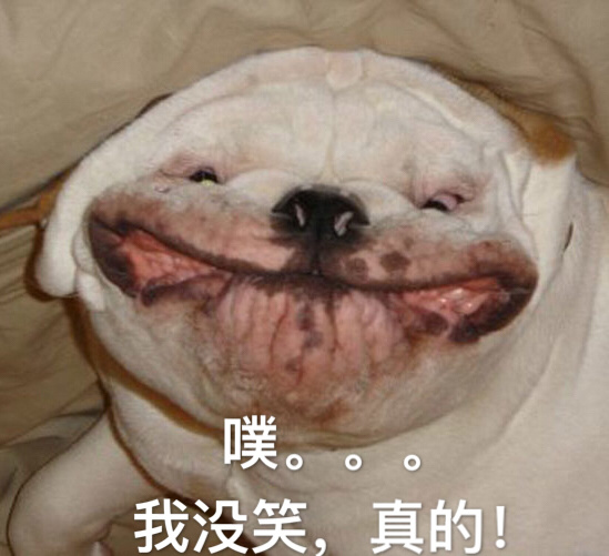 狗狗带字搞笑表情包_动漫新闻_动漫论坛_动漫