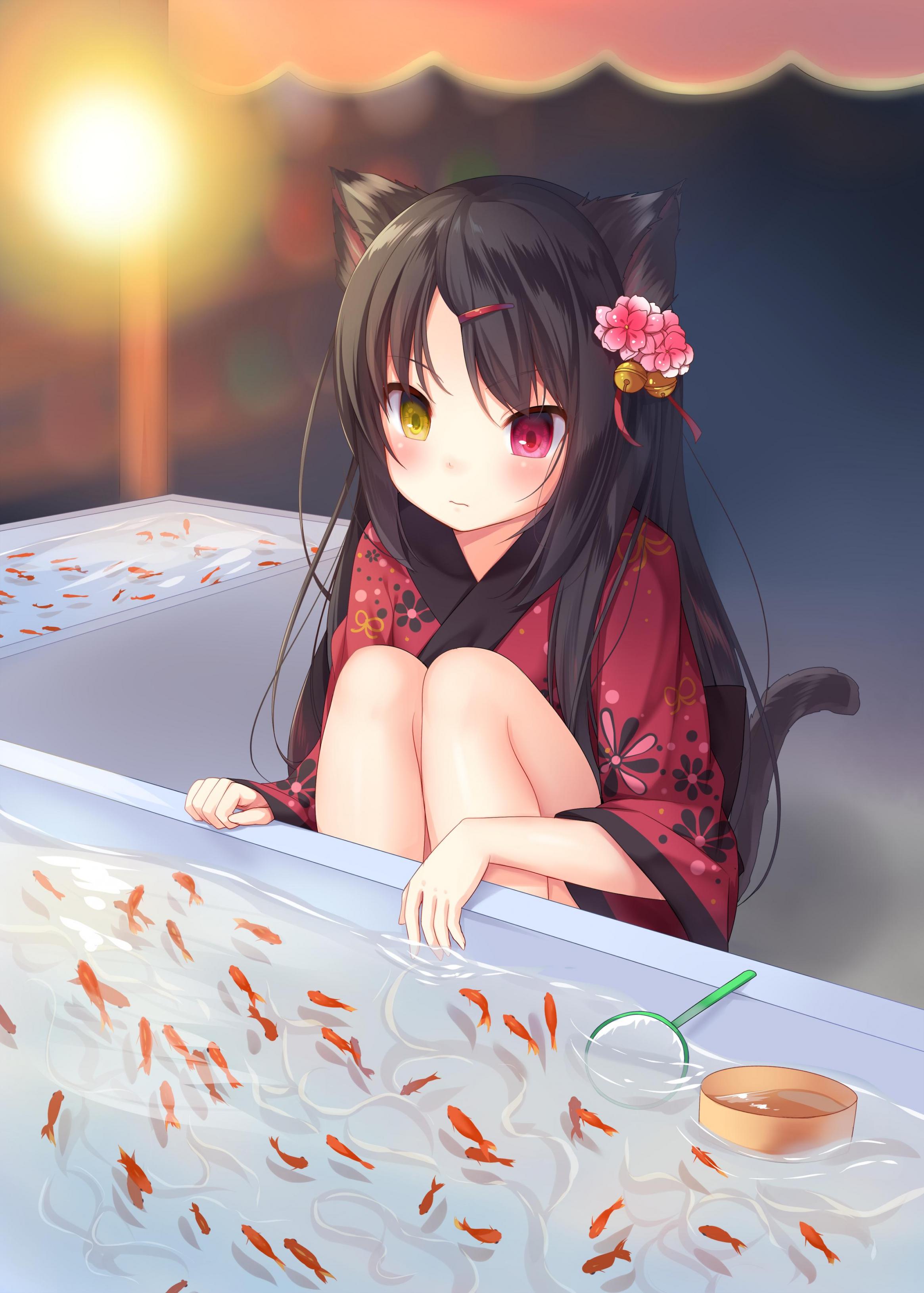 猫娘福利,动漫猫娘,动漫福利