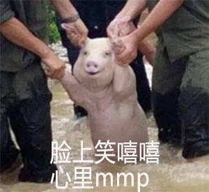 四川宜宾横江镇的一只面对表情v表情猪表情洪水包里小女孩可爱一个的图片
