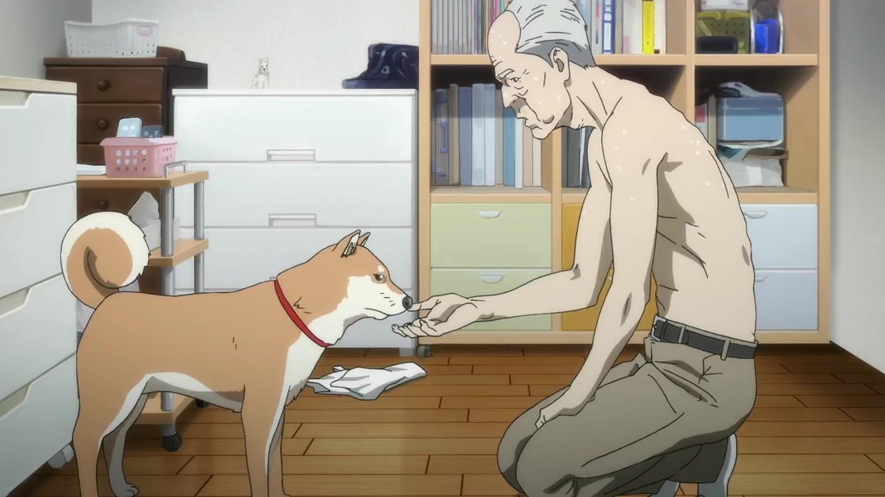 10月新番《犬屋敷》最新预告公开 不同寻常的