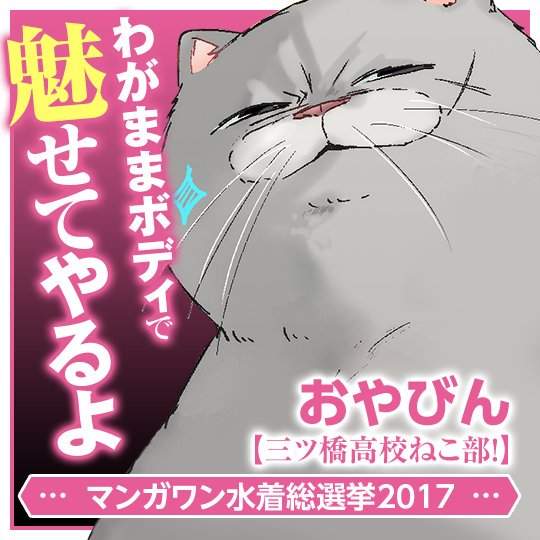 猫咪社团,雪永めりを,三ツ桥高校ねこ部!