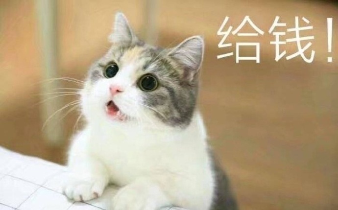 老公给我买这个 超可爱猫咪表情包_动漫新闻_