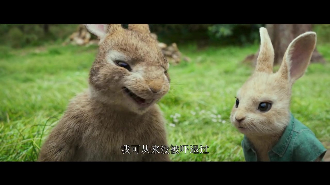 经典IP改编CG电影 《彼得兔》国际版中文预告公布