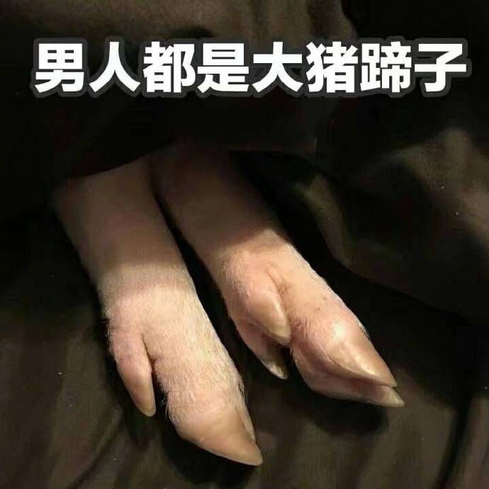 小猪表情包,猪表情包,下载,猪精女孩表情包