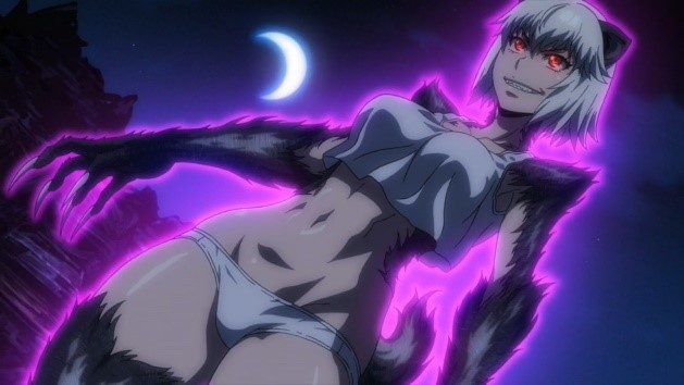 【一月新番】《牙斗兽娘》兽耳美少女们的大乱斗