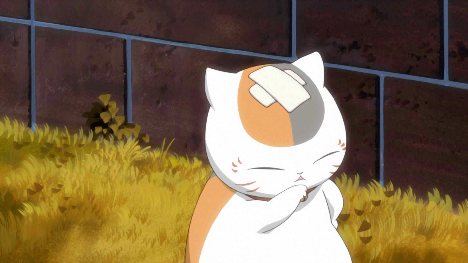 夏目友人帐,猫咪老师输入法皮肤,动漫输入法皮肤