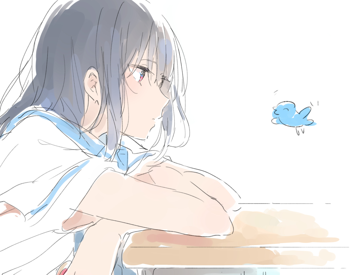 发生在两位女高中生之间的故事 莉兹与青鸟二次元萌图