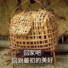 表情包,沙雕表情包,呆萌表情包