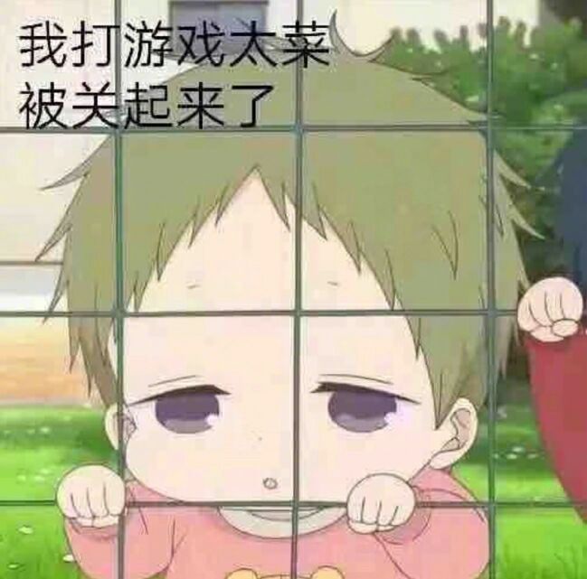 菜狗qq微信表情包