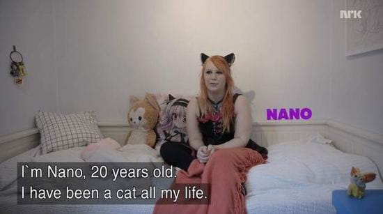 挪威猫女,生错种族,Nano