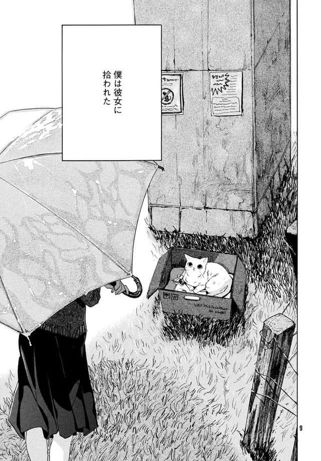 她和她的猫,第12回CG动画竞赛大奖赛,新锐漫画家