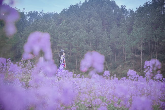 剑网三,破军万花萝莉,佑子