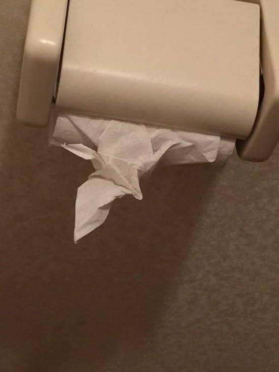 趣闻,卫生间折纸,日本