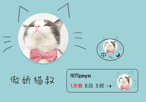 猫咪,猫叔