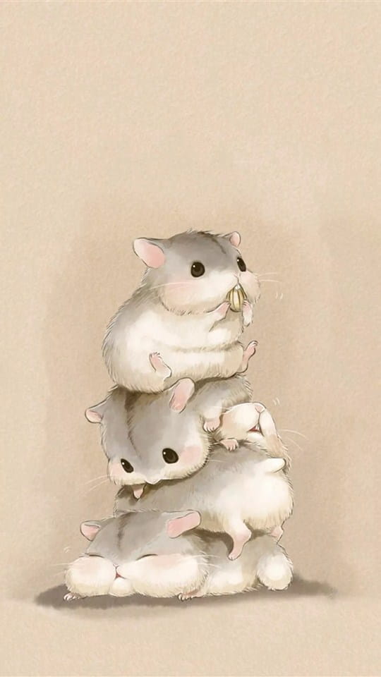 猫咪,仓鼠,手机壁纸,壁纸,高清壁纸,下载