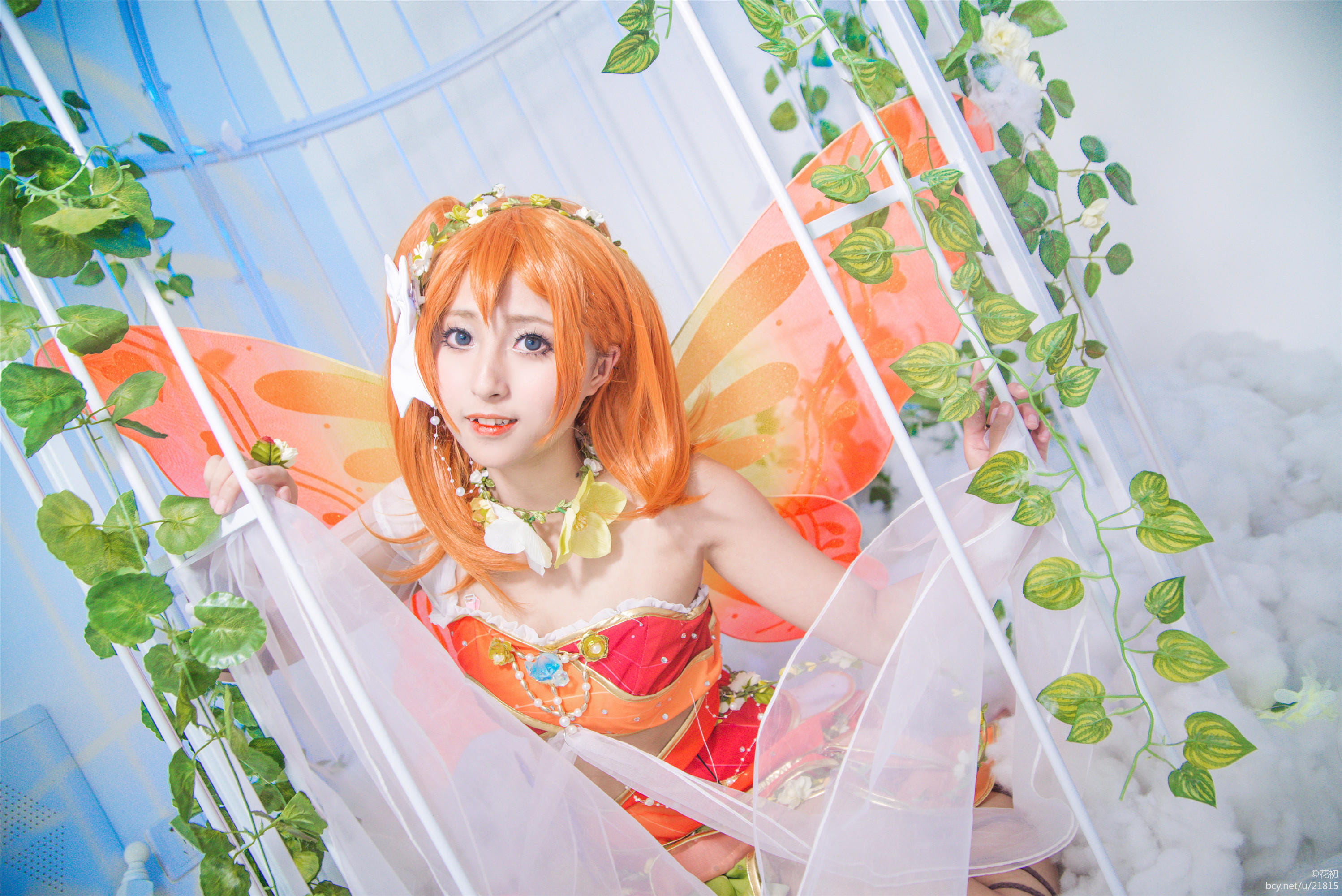 lovelive,花妖精,觉醒,ll,cos