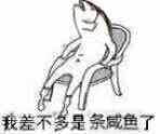 咸鱼,咸鱼表情包，