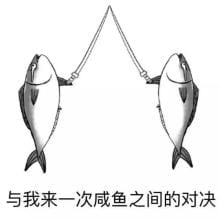 咸鱼,咸鱼表情包，