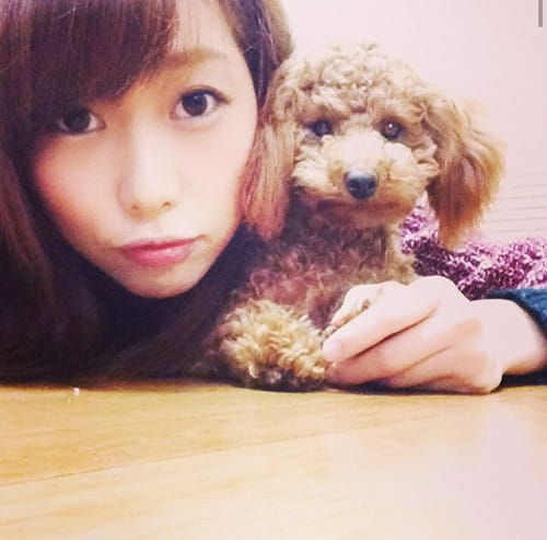 lovelive,kssn,东条希,楠田亚衣奈